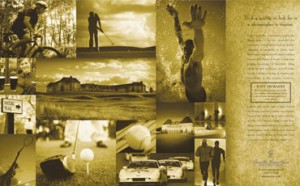 Chateau Elan Collage