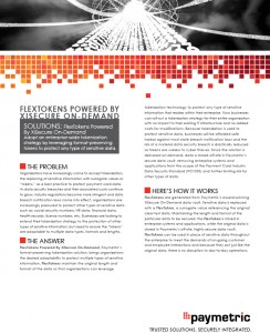 PAYMETRIC The Missing Piece